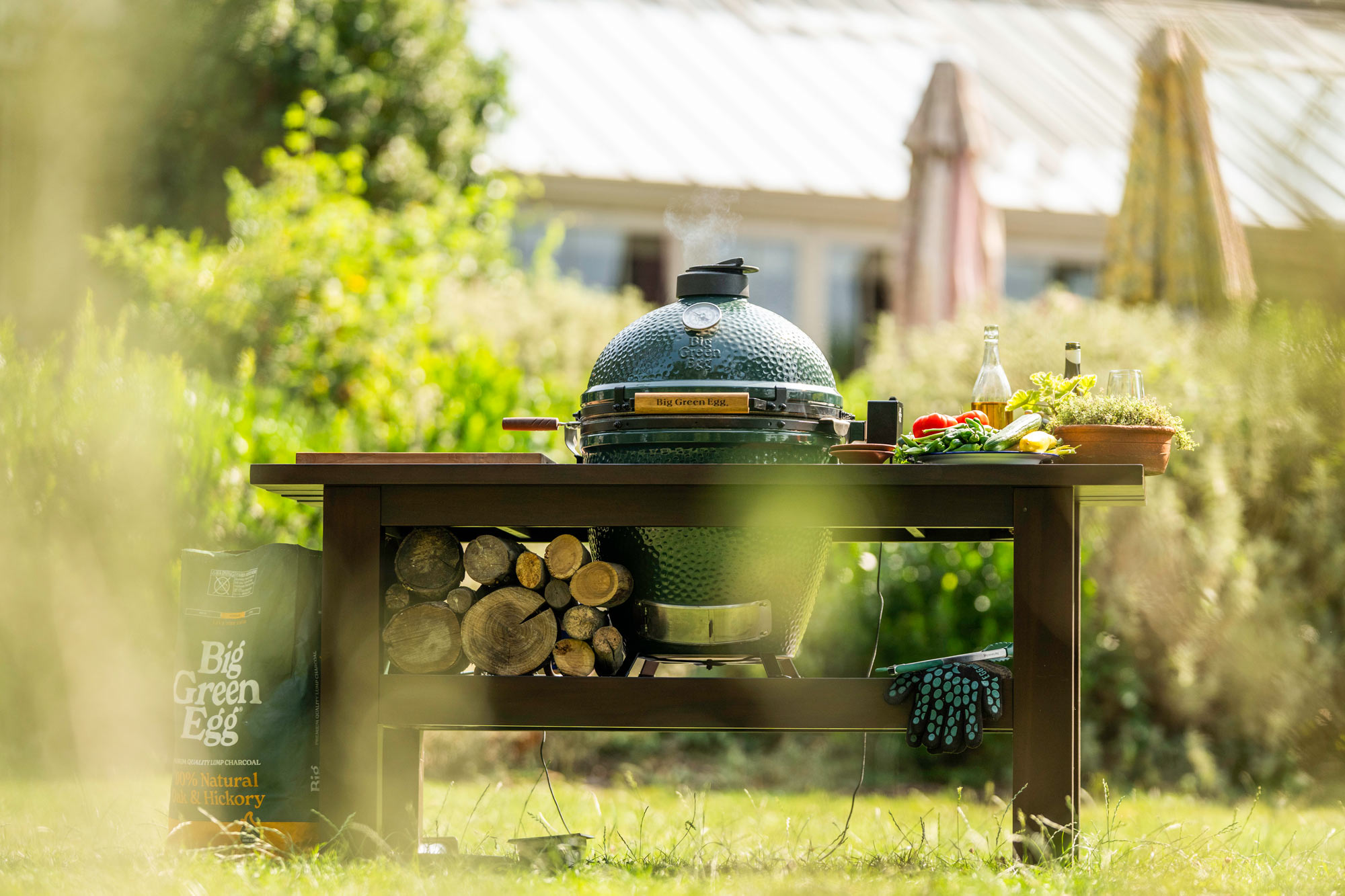 Big Green Egg Large